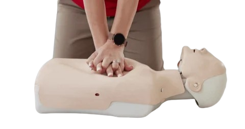 CPR Training Mannequin